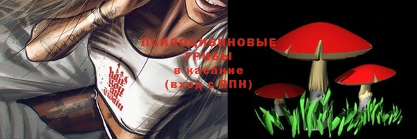 гашик Навашино