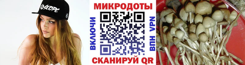 Псилоцибиновые грибы GOLDEN TEACHER  закладки  Нарткала 